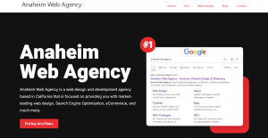 Top-Rated Web Design Companies in Anaheim, CA 